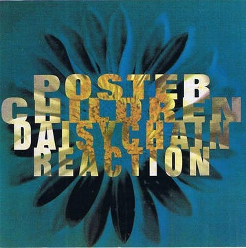 cd - Poster Children - Daisychain Reaction, Verzenden, Zo goed als nieuw