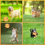 Interactieve, vrolijk gekleurde pluche speelgoed bal, Verzenden, Nieuw