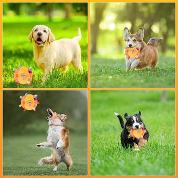 Interactieve, vrolijk gekleurde pluche speelgoed bal, Dieren en Toebehoren, Honden-accessoires, Verzenden, Nieuw