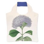 Vouwtas: Hydrangea macrophylla Otaksa, Siebold, Hortus, Ophalen of Verzenden, Nieuw