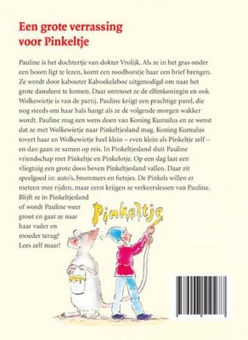 Een grote verrassing voor Pinkeltje / Pinkeltje / 12, Boeken, Verzenden, Gelezen, Dick Laan