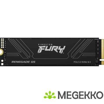 Kingston SSD FURY Renegade G5 4TB, Computers en Software, Verzenden, Nieuw, Kingston