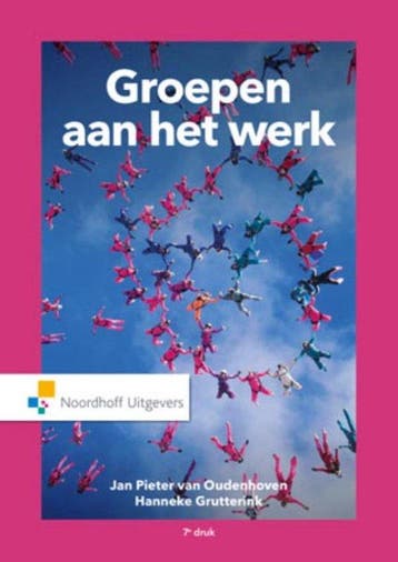9789001846251 Groepen aan het werk | Tweedehands, Verzenden, Zo goed als nieuw, Jan Pieter van Oudenhoven