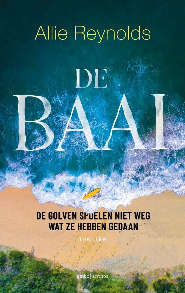 De baai (9789026362477, Allie Reynolds), Boeken, Thrillers, Nieuw, Verzenden
