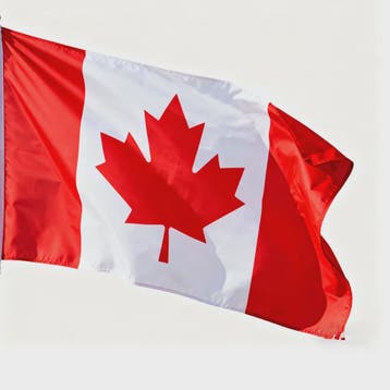 Canadese Vlag met Esdoornblad - Polyester - 3 Maten, Verzenden, Nieuw