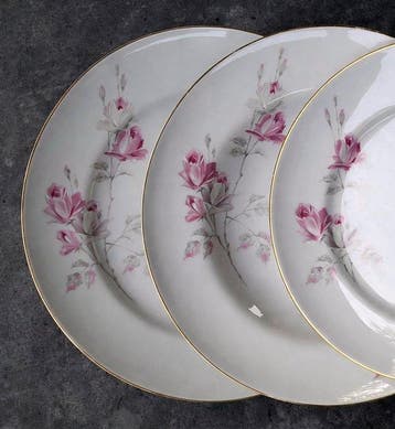 Richard Ginori - Tafelservies voor 12 (40) - Ariston – Fijn
