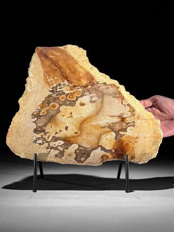 Prachtige snede van versteend hout op een op maat gemaakte