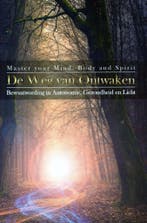 De weg van ontwaken - Daniëlle Stotijn - 9789090354972 - Pap, Boeken, Verzenden, Nieuw