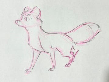 Walt Disney Zeldzame Tod Pan-animatietekening (59x32cm,, Nieuw