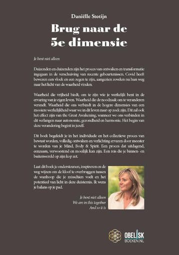 Brug naar de 5e dimensie 9789493071827 Daniëlle Stotijn, Verzenden, Zo goed als nieuw, Daniëlle Stotijn