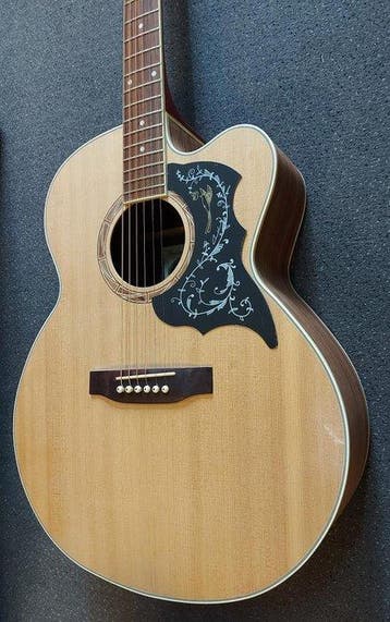 Indie - The Pure DCE Jumbo Bird of Paradise - -, Muziek en Instrumenten, Nieuw