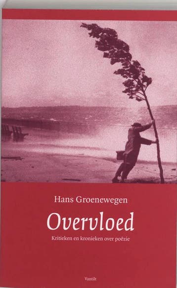Overvloed - H. Groenewegen 9789077503287, Verzenden, Zo goed als nieuw, H. Groenewegen