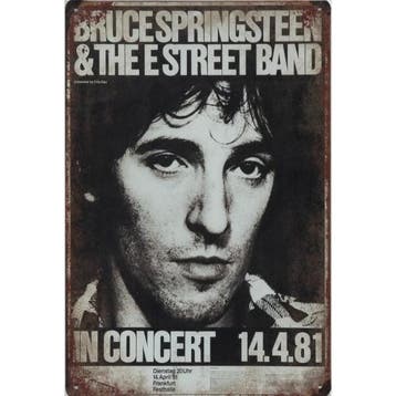 Wandbord- Bruce Springsteen And The E Street Band In Concert, Ophalen of Verzenden, Nieuw, Poster, Artwork of Schilderij