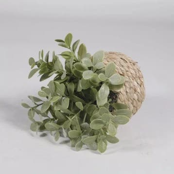 Kunstplant Eucalyptus Gras in Geweven Mandje - Decoratieve K, Verzenden, Nieuw in verpakking