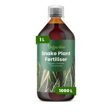 Vloeibare meststof voor sansevieria - 1 liter, Verzenden, Mest
