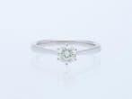 Ring - 18 karaat Witgoud - 0.52ct. tw. Diamant (Natuurlijk), Nieuw