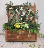 Verhoogde Plantenbak Trellis Klimplanten Tuin Patio Binnen, Verzenden, Nieuw