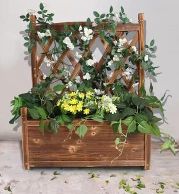 Verhoogde Plantenbak Trellis Klimplanten Tuin Patio Binnen, Verzenden, Nieuw