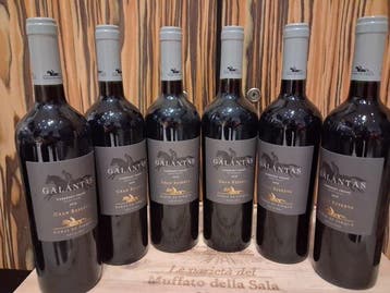 2018 Haras de Pirque, Galantas - Maipo Valley Gran Reserva -, Nieuw
