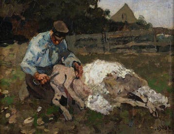 Willem Hendrik van der Nat (1864–1929) - Schapenscheerder