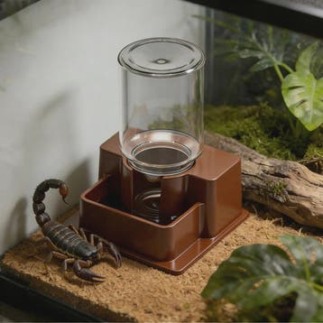 Automatische Waterdispenser voor Reptielen - Drinkbak voor G