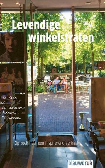 Levendige winkelstraten - Marlijn Baarveld 9789492474247, Verzenden, Zo goed als nieuw, Marlijn Baarveld