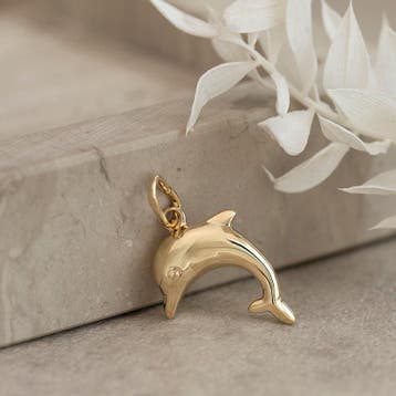 Hanger dolfijn 13 karaat, Verzenden, Zo goed als nieuw