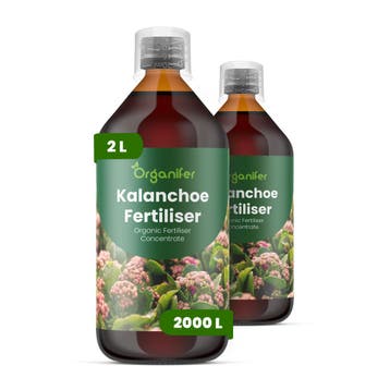 Kalanchoë vloeibare meststof - Set 2x1 liter, Verzenden, Mest