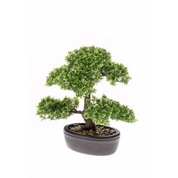 bonsai plastic pots Deep Round High Impact Plastic Bonsai Pot main image 0
