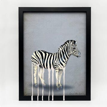 Coco de Paris - Dripping zebra