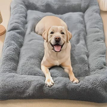 Extra Grote Pluche Hondenkussen - Super Zacht & Comfortabel, Dieren en Toebehoren, Verzenden, Nieuw