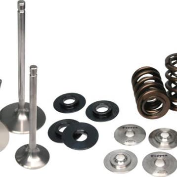 Ferrea Honda S2000 Dual Spring Kit, Ophalen of Verzenden, Nieuw