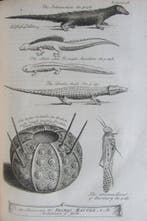 Thomas Shaw - Travels or Observations Relating to Several