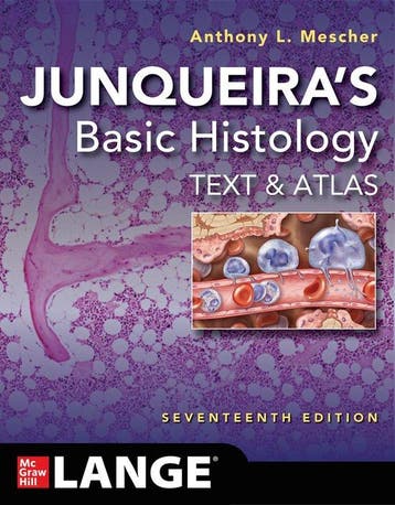 9781264930395 Junqueiras Basic Histology: Text and Atlas..., Verzenden, Zo goed als nieuw, Anthony L. Mescher