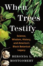 9781250335166 When Trees Testify Beronda L. Montgomery, Verzenden, Nieuw, Beronda L. Montgomery
