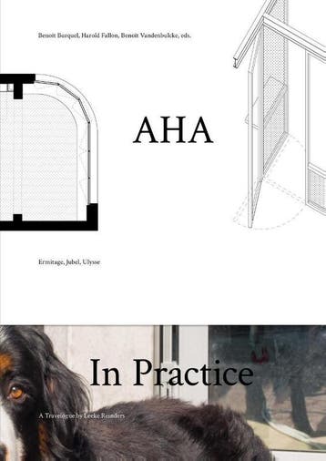 Aha In Practice | Leeke Reinders; Aurélie Hachez | Nieuw, Ophalen of Verzenden, Nieuw, Leeke Reinders; Aurélie Hachez