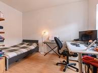 Studio Olieslagerspoort in Leiden, Huizen en Kamers, Via bemiddelaar, Leiden, Zuid-Holland, Studio
