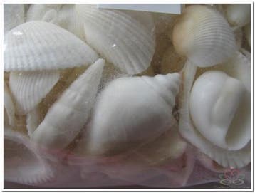 Schelpenmix Wit 650 gram, Ophalen of Verzenden, Nieuw