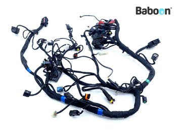 Kabelboom Ducati Scrambler 1100 2018-2020 (5101D201B), Verzenden, Gebruikt