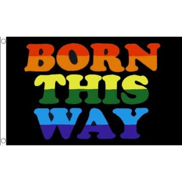 Born This Way roze vlaggen 150 x 90 cm - Vlaggen, Ophalen of Verzenden, Nieuw