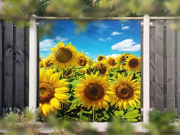 NR 1416: Tuinposter zonnebloemenveld 180x180cm, Nieuw