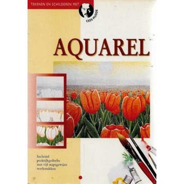 Aquarel / Tekenen en schilderen met Cees Mudde - C. Mudde, Verzenden, Gelezen, C. Mudde