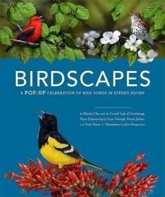 Birdscapes - Myoko Chu 9780811864282, Verzenden, Gelezen, Myoko Chu
