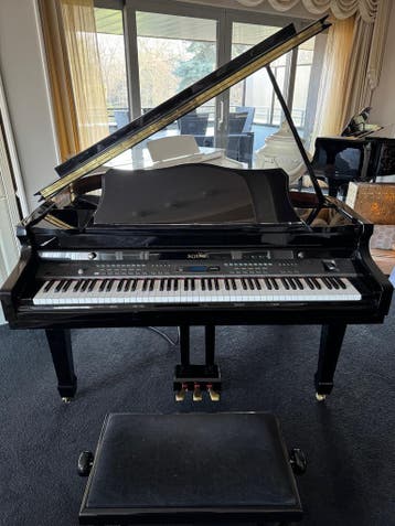 Zelfspelende Digitale vleugel, Muziek en Instrumenten, Piano's, Ophalen, Gebruikt, Zwart, Vleugel