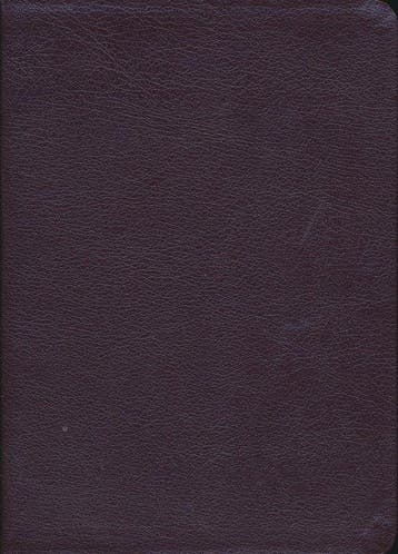 Boek Everyday Life Bible 9780446578257, Verzenden, Nieuw
