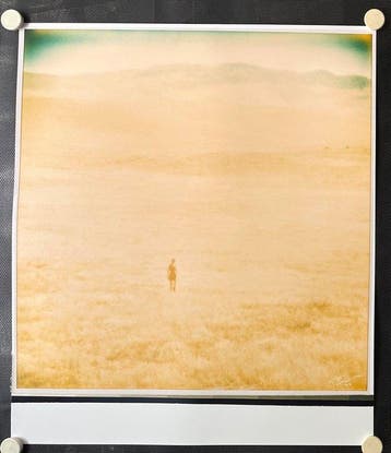 Stefanie Schneider - Untitled (Oilfields)