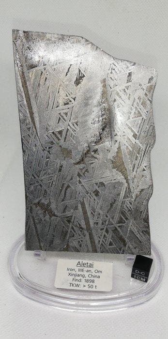 Prachtige meteoriet Aletai. IJzer meteoriet - 350 g