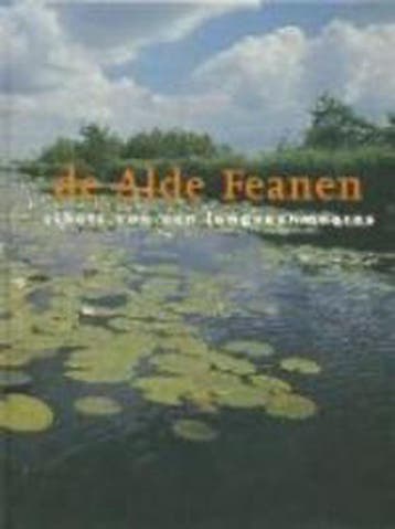ALDE FEANEN, DE 9789033011375 SIETSKE RINTJEMA, Boeken, Verzenden, Gelezen, SIETSKE RINTJEMA