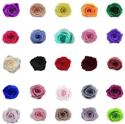 Geconserveerde rozen Geprepareerd Zwart doos 8 stuks, Hobby en Vrije tijd, Knutselen, Nieuw, Ophalen of Verzenden