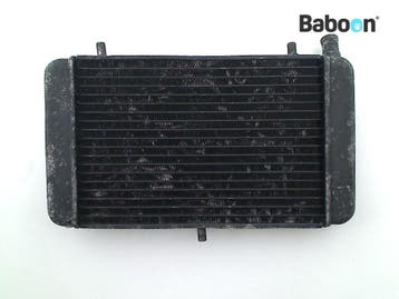 Radiateur Aprilia RS 125 1996-1998 (RS125), Verzenden, Gebruikt